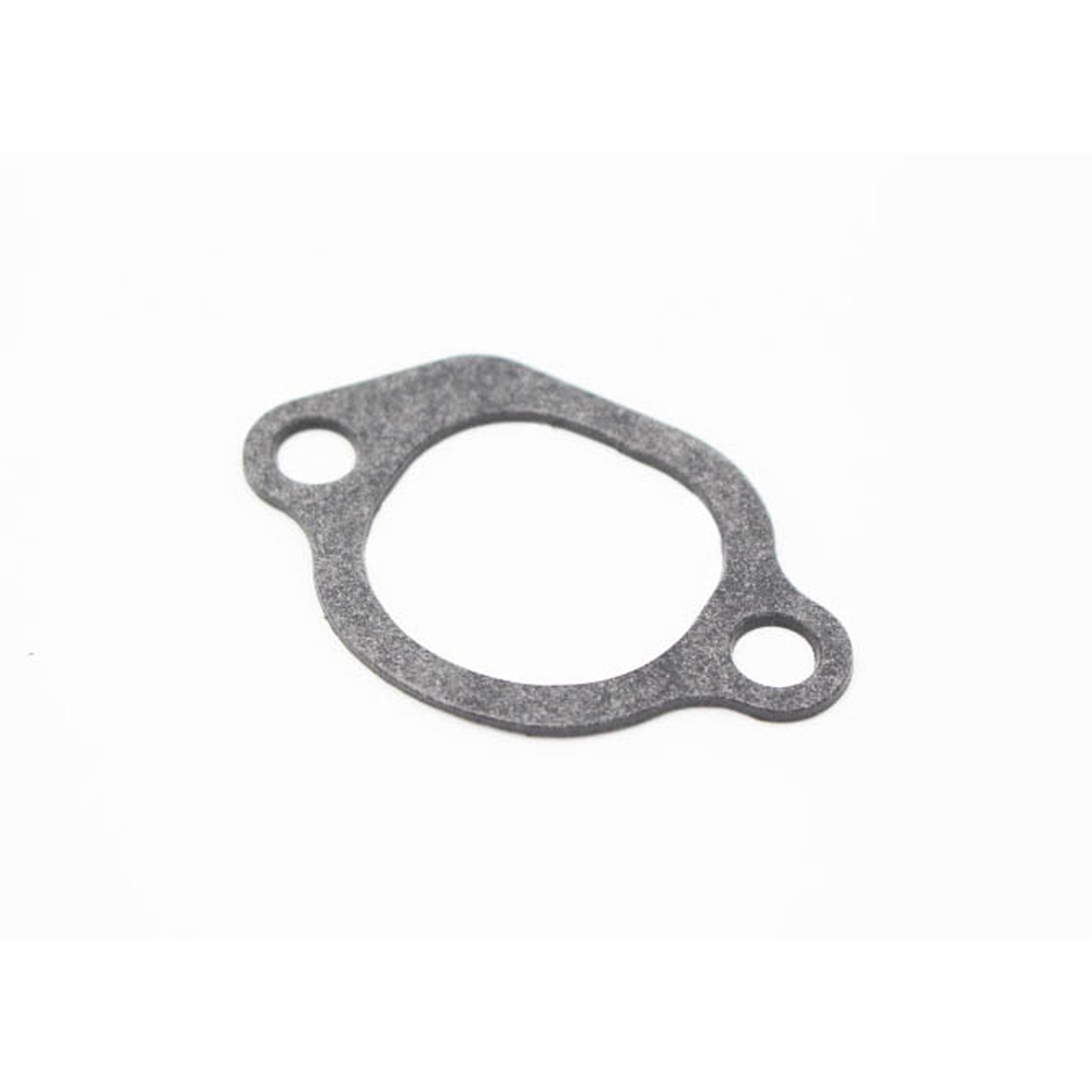 Gasket Intake Port GTH999 - 0C3043