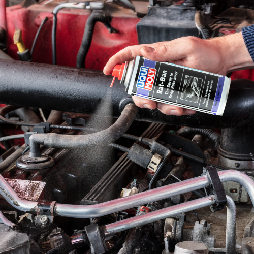 Liqui Moly Rat-Ban Spray 200ml - 21640