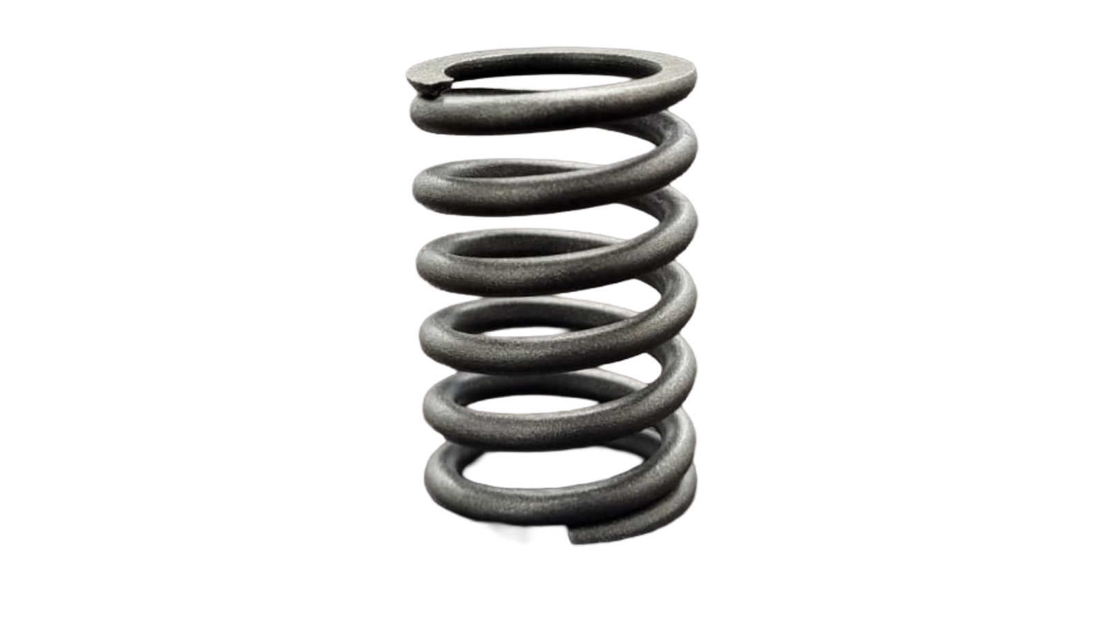 Valve Spring - LA192 - 3049060200300