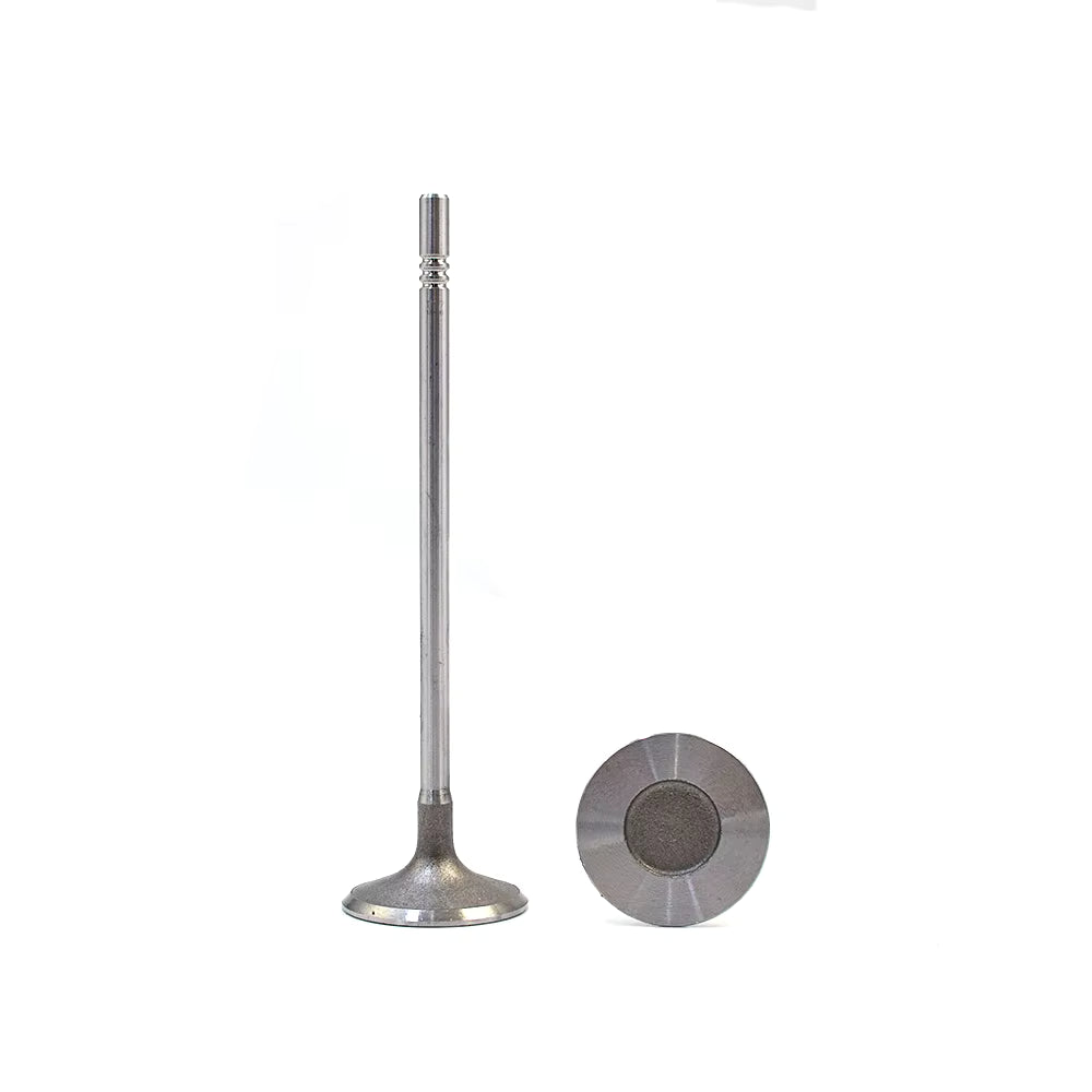 Intake Valve - BPD12 to BPD20  - 1007011-B01-0000